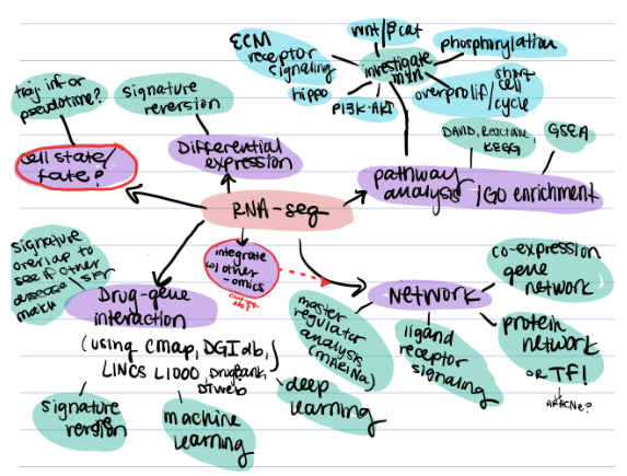 Potential SETBP1 Research Avenues using RNA-sequencing Data